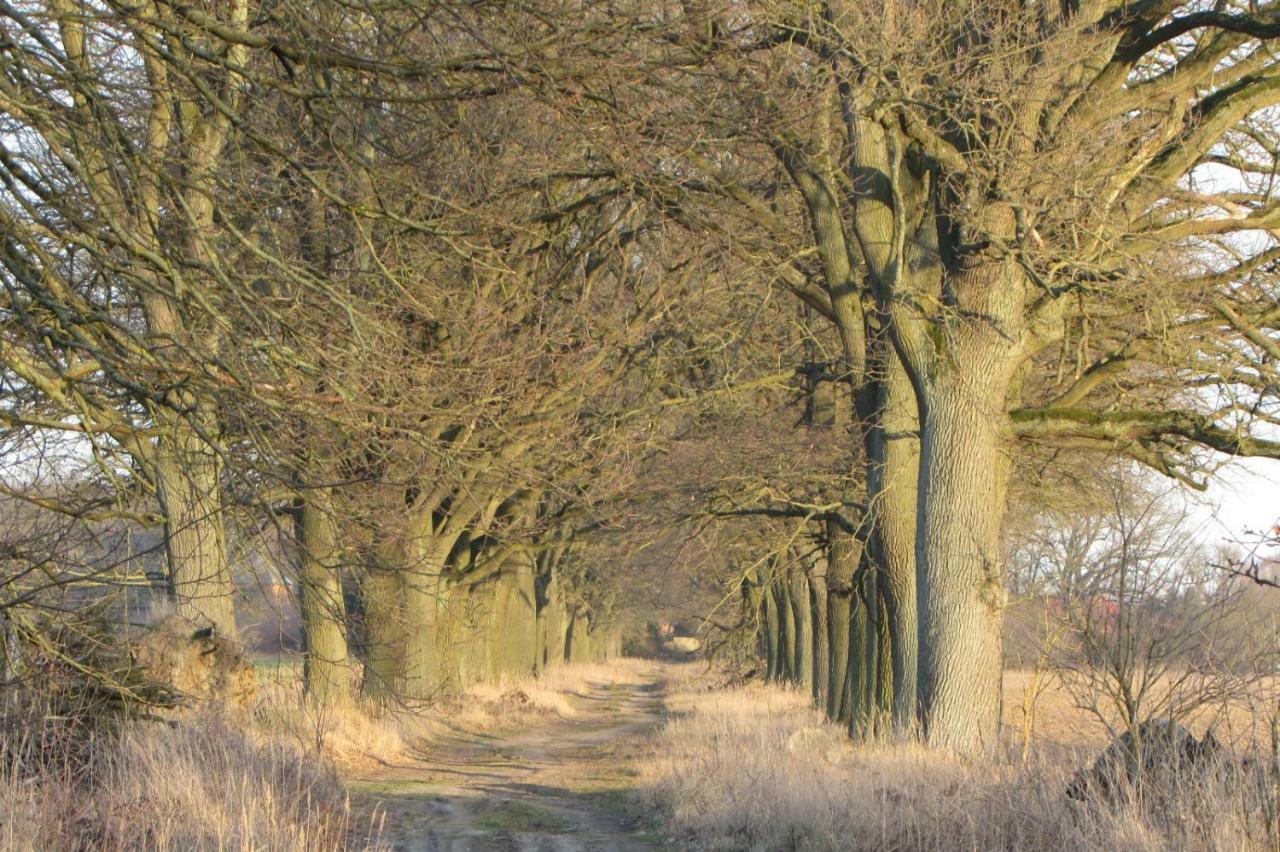 Radlerzimmer  Strasen Exterior foto